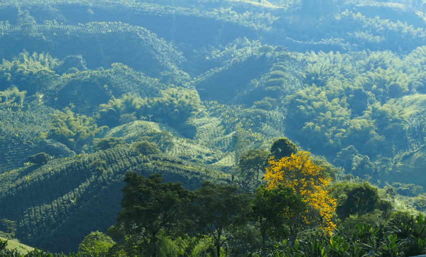 Planos de manutenção e proteção da reserva legal.